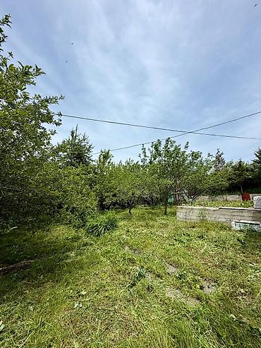 Продажа дач: 🏡🔥 ПРОДАЁТСЯ ДАЧА В ТАШ-МОЙНОКЕ! ДТ: «Мичуринец» 🌿 💥 Участок — 6 — 6