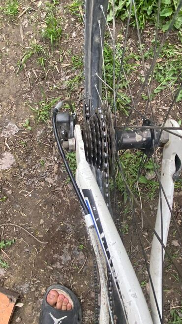 спортивные велосипеды бу: Есть царапины заднего тормоза нет передней скорости нет