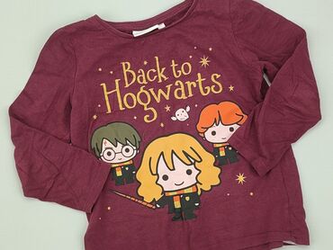 bluzki z harrego pottera: Bluzka, Harry Potter, 5-6 lat, 110-116 cm, stan - Bardzo dobry