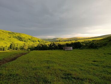 требуется водитель на портер: Талап кылынат Ветеринар, Үйлөрүнө жеткирүү