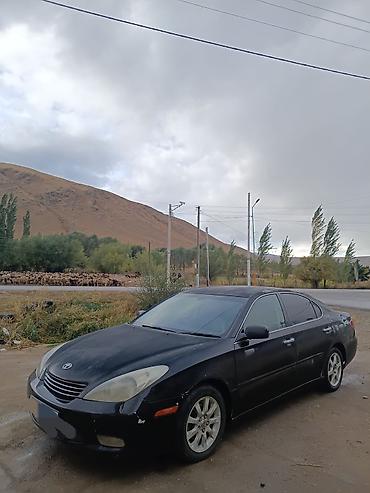 таота филдер: Toyota Windom: 2003 г., 3 л, Автомат, Газ, Седан — 1