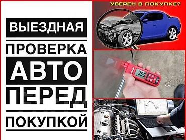 chip gps: Выездная проверка автомобиля с толщиномером Профессиональная — 2