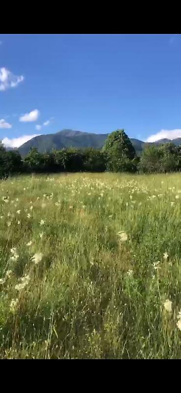 qalada torpaq: 52 sot, Kənd təsərrüfatı, Mülkiyyətçi, Kupça (Çıxarış) — 1