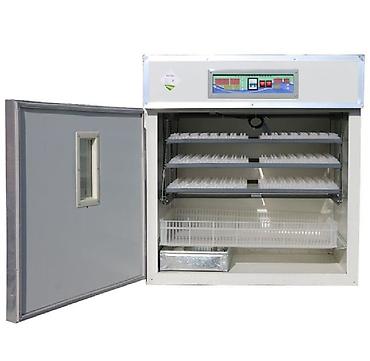 Kənd təssərüfatı avadanlığı: Inkubator inqibator inkibator inqubator Sənaye tipli inkubatorlar 528 — 4