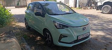 оборотный плук: Changan Benni: 2022 г., Электромобиль, Хэтчбэк — 5