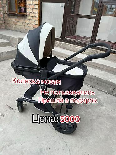 foo foo: Коляска, Anex, цвет - Черный, Новый, Бесплатная доставка — 1
