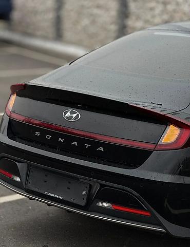 sonata 2012: Hyundai Sonata: 2019 г., 2 л, Автомат, Бензин, Лифтбек — 9