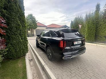 2022: Kia Sorento: 2022 г., 1.6 л, Автомат, Гибрид, Кроссовер — 6
