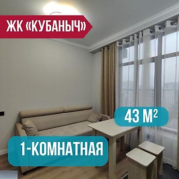 brk group: 1 комната, 43 м², Филармония Элитка, 9 этаж, Евроремонт — 1