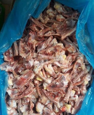 Mini: Mini : 1.4 l | 2006 il 285000 km Van/Minivan — 14