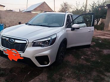 домик авто: Subaru Forester: 2019 г., 2.5 л, Автомат, Бензин, Кроссовер — 3