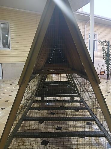 Товары и оборудование для с/х животных: Передвижной курятник/вольер треугольной формы (А-образная — 3