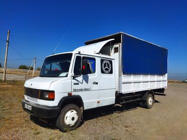 Mercedes-Benz: Mercedes-Benz Viano: 1995 г., 4 л, Механика, Дизель, Купе