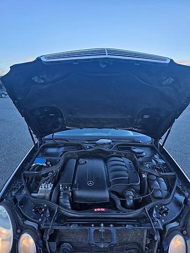 Mercedes-Benz: Mehmed — 11