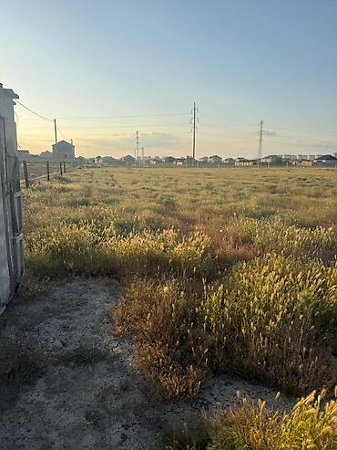 lokbatanda satilan evler: 1100 sot, Kənd təsərrüfatı, Barter mümkündür, Bələdiyyə — 2