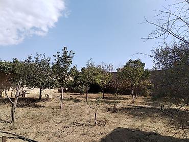 Həyət evləri və villaların satışı: 7 otaqlı, 156 kv. m, Təmirsiz — 17