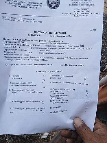 электронный чысы: Семена озимой пшеницы 1- репродукции), сорт «Интенсивная». - — 2