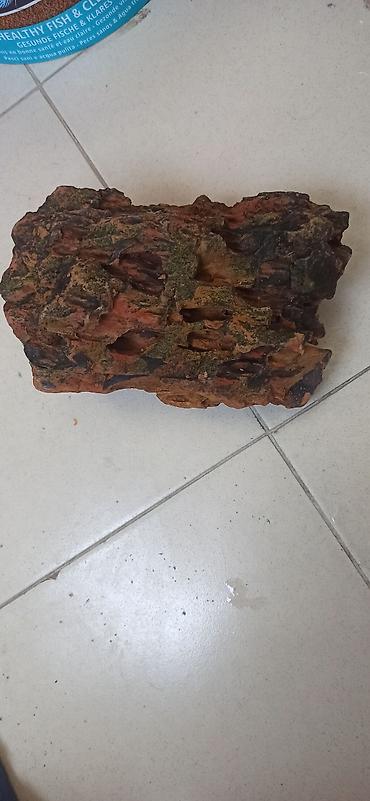 Akvarium dekoru: Akvaryum dekoru – təbii görünüşlü əlin içindən böyükdür - Material — 2