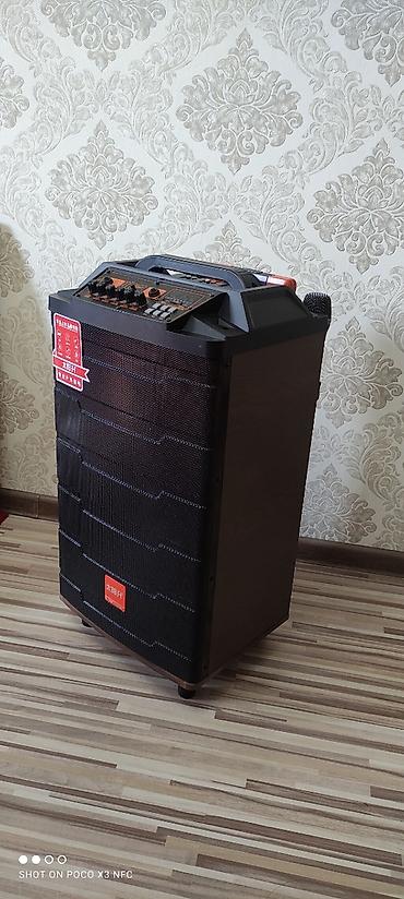 hite pro: Аренда колонки: отличный звук, состояние почти новое! Подходит для — 2