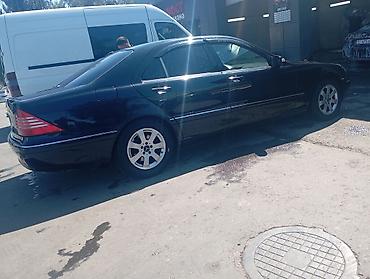 mersedes e class: Mercedes-Benz S-Class: 2003 г., 3.7 л, Автомат, Бензин, Седан — 6