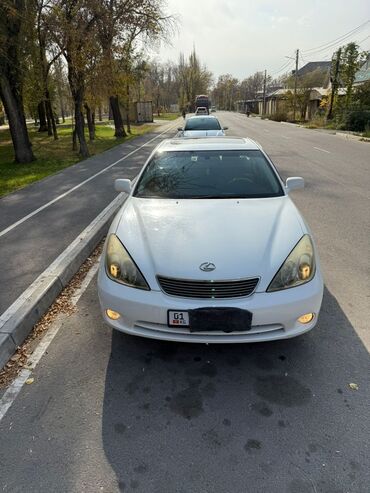 жабры на капот: Lexus ES: 2006 г., 3.3 л, Автомат, Бензин, Седан