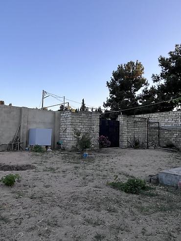 badamdarda satilan villalar: Bağ -11,3 sot sərin tərəf dəniz yaninda 5 dəq maşinan ev əla — 2