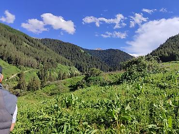 Пассажирский бус на заказ: Пассажирский микроавтобус Mercedes‑Benz Sprinter (длинная база — 14