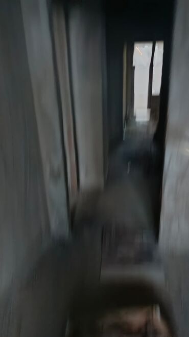 Yeni tikili: 2 otaqlı, Yeni tikili, 78 kv. m — 12