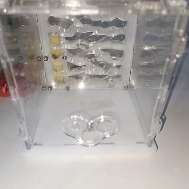 Другие животные: ‼️Колонии Муравьев с Формикариями разныные колоний большой выбор — 14