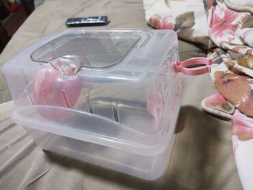 Oyuncaqlar: Kiçik gəmiricilər üçün qaçış topu və daşıma konteyneri seti. - — 5