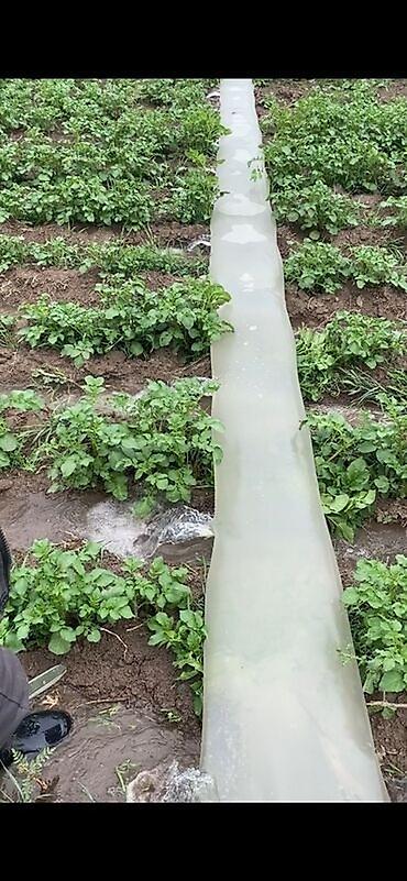 Шланги для полива: Шланг для полива — 2