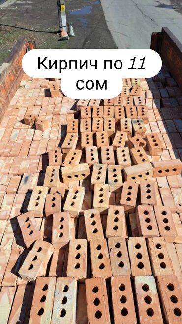 лоток для яйца: Беловодск БКЗ