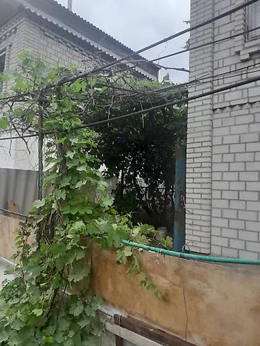 Продажа дач: Продажа дач — 4