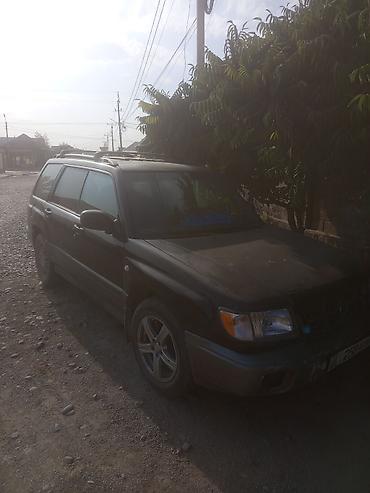 форестер полик: Subaru Forester: 1998 г., 2 л, Автомат, Бензин, Универсал — 2