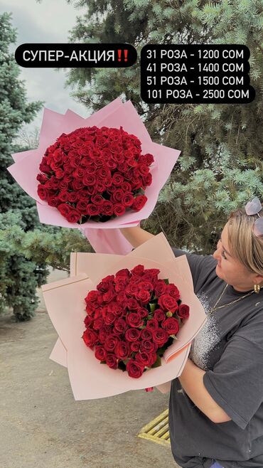 купить розы: АКЦИЯ НА РОЗЫ!🔥 31 Роза - 1200 сом 41 Роза - 1400 сом 51 Роза - 1500