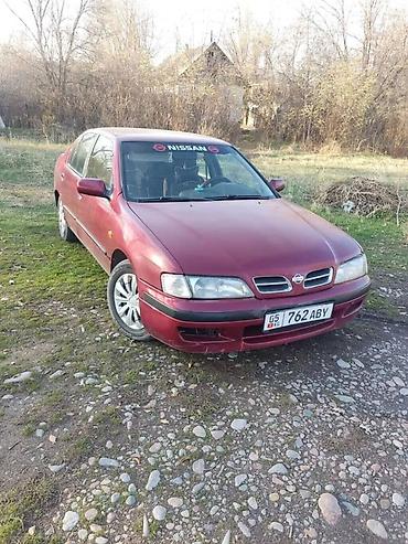 ниссан алмера 2013: Nissan Primera: 1997 г., 2 л, Механика, Бензин, Седан — 1