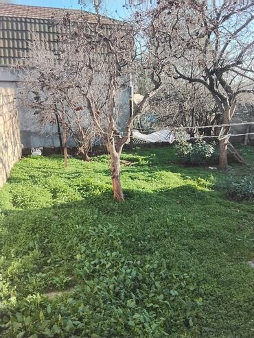 Həyət evləri və villaların satışı: M.Ə. Rəsulzadə qəs. 4 otaqlı, 70 kv. m, Təmirsiz -da lalafo.az — 6 Həyət evləri və villaların satışı: M.Ə. Rəsulzadə qəs. 4 otaqlı, 70 kv. m, Təmirsiz — 6