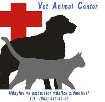 pisik hekimi: Baytar Həkim Xidməti Vet animal heyvanlara qayğı mərkəzi Müalicə və