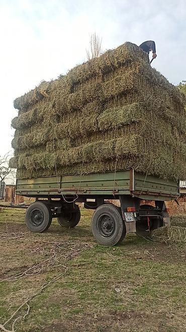 мал кой: Прадаю горное сено разнотравья луцерна эспарцет клевер в любом — 5