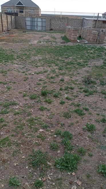 xasa xuna torpaq satilir: 4 sot, Kupça (Çıxarış)