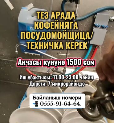 я ищу работу официант: Требуется Посудомойщица, Оплата Ежедневно