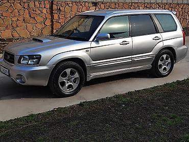Subaru: Subaru Forester: 2003 г., 2 л, Автомат, Бензин, Универсал — 38
