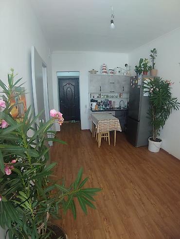 кафешка: 1 комната, 31 м², Кок-Жар ж/м Малосемейка, 2 этаж, Свежий ремонт — 1