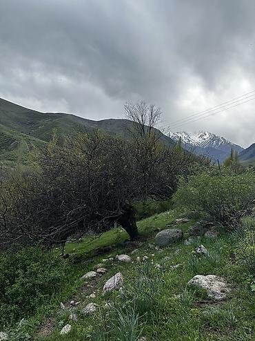 Туристические услуги: Отдых в горах с комфортом 🏔️ Уютные номера (люкс и стандарт) + сауна — 20