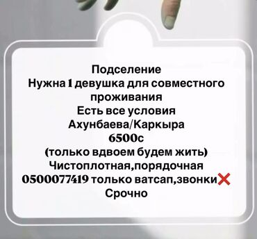 студио квартиры: Студия, Менчик ээси, Чогуу жашоо менен, Жарым -жартылай эмереги бар