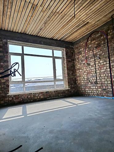 Аппараты для штукатурки и шпаклевки: Механизированная штукатурка стен под обои — 4