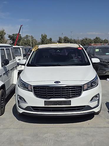без дтп: Kia Carnival: 2020 г., 2.2 л, Автомат, Дизель, Минивэн — 1