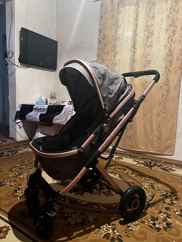 usaq kutkalari: Çıxarıla bilən beşikli araba, Yeni