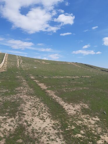 Torpaq sahələrinin satışı: 80 sot, Kənd təsərrüfatı, Maklerlər narahat etməsin, Kupça (Çıxarış) -da lalafo.az — 7 Torpaq sahələrinin satışı: 80 sot, Kənd təsərrüfatı, Maklerlər narahat etməsin, Kupça (Çıxarış) — 7
