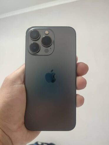 macbook ремонт: IPhone 13 Pro, Графит